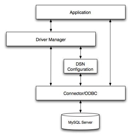 Connector/ODBC ̍\